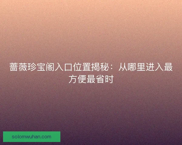 蔷薇珍宝阁入口位置揭秘：从哪里进入最方便最省时